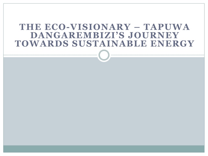 the eco visionary tapuwa dangarembizi s journey towards sustainable energy