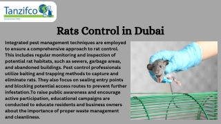 Rats Control in Dubai | Tanzifco