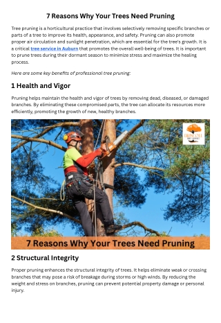 7 Reasons Why Your Trees Need Pruning