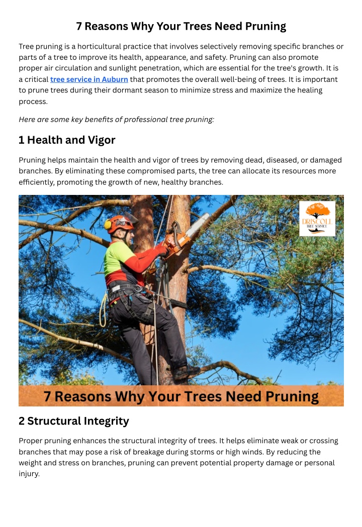 7 reasons why your trees need pruning