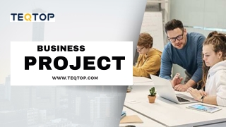 TEQTOP Professional Business Project Presentation (1)
