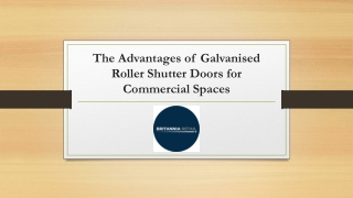 The Advantages of Galvanized Roller Shutter Doors for Commercial Spaces