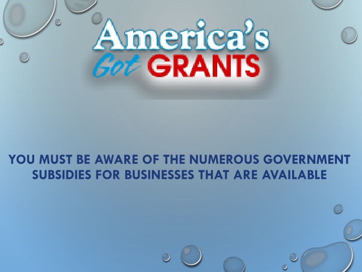 you must be aware of the numerous government subsidies for businesses that are available