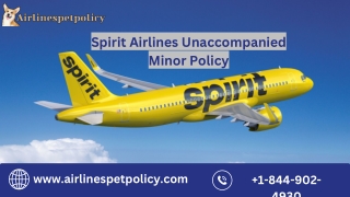 www airlinespetpolicy com