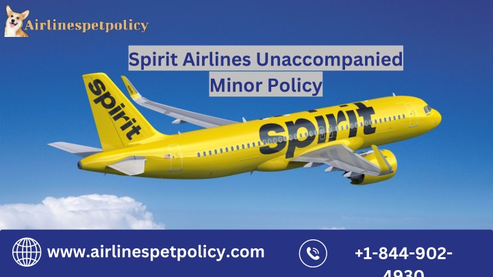 www airlinespetpolicy com