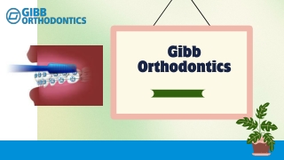 Looking For Invisalign Treatment Gibb Orthodontics Is The Go-To Place!