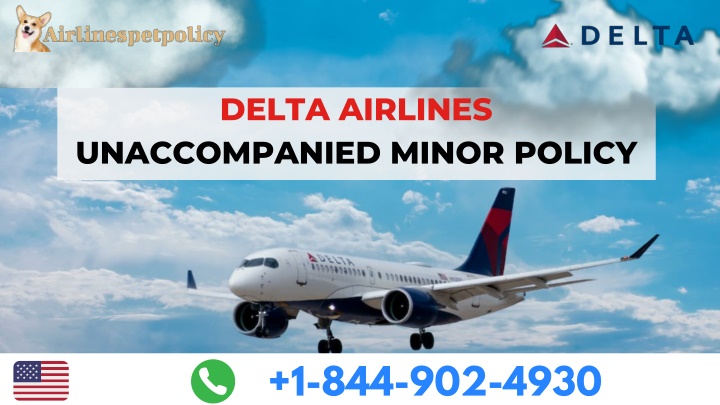 delta airlines unaccompanied minor policy