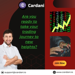 Cardani.Io- Your Path To Profitable Trading