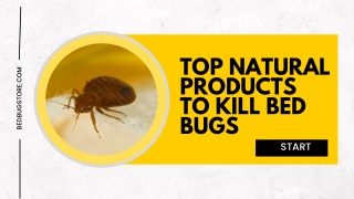 Buy Top Natural Products to Kill Bed Bugs - Bedbugstore