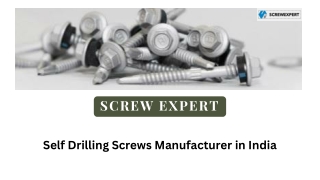 Innovative Solutions for India: Self-Drilling Screws Manufacturer