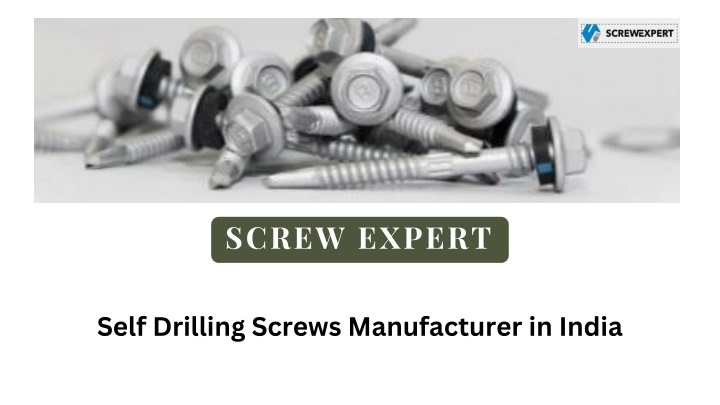 screw expert