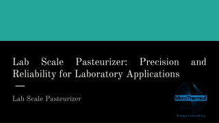 Lab Scale Pasteurizer_ Precision and Reliability for Laboratory Applications
