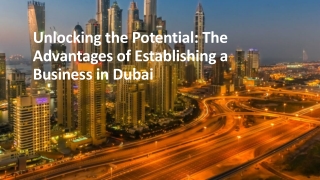 Unlocking the Potential- The Advantages of Establishing a Business in Dubai
