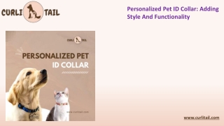 Create a Unique Identity with Personalized Pet Collars | By CurliTail