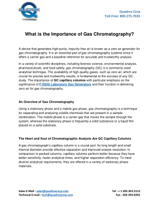 What is the Importance of Gas Chromatography?