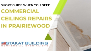 Short Guide When You Need Commercial Ceilings Repairs In Prairiewood