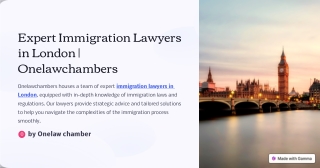 Expert Immigration Lawyers in London | Onelawchambers