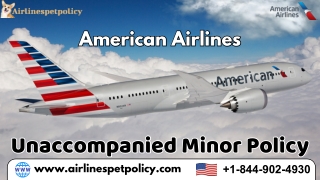 american airlines american airlines