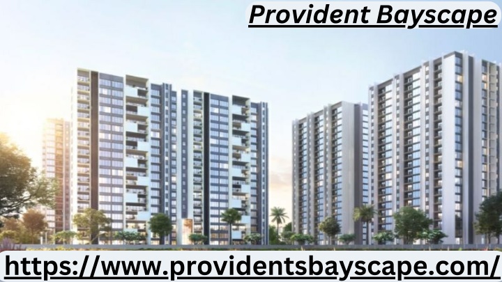 provident bayscape