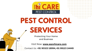 The best Pest Control Services In Hyderabad