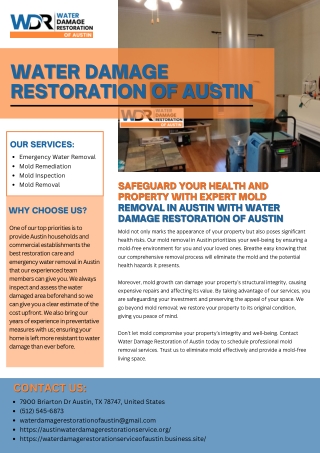 Safeguard Your Health and Property with Expert Mold Removal in Austin with water