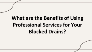 What are the Benefits of Using Professional Services for Your Blocked Drains