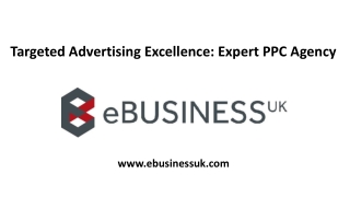 Targeted Advertising Excellence: Expert PPC Agency