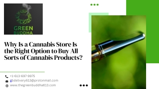 Why Is a Cannabis Store Is the Right Option to Buy All Sorts of Cannabis Products