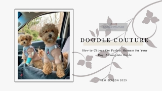 How to Choose the Perfect Harness for Your Dog A Complete Guide - Doodle Couture