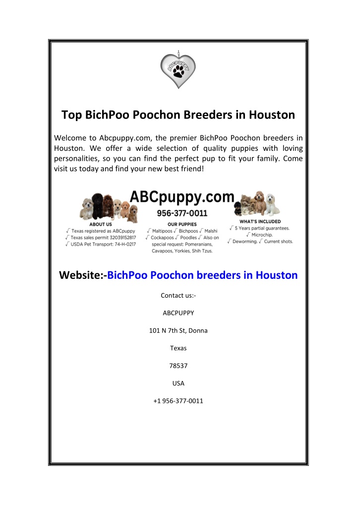 top bichpoo poochon breeders in houston