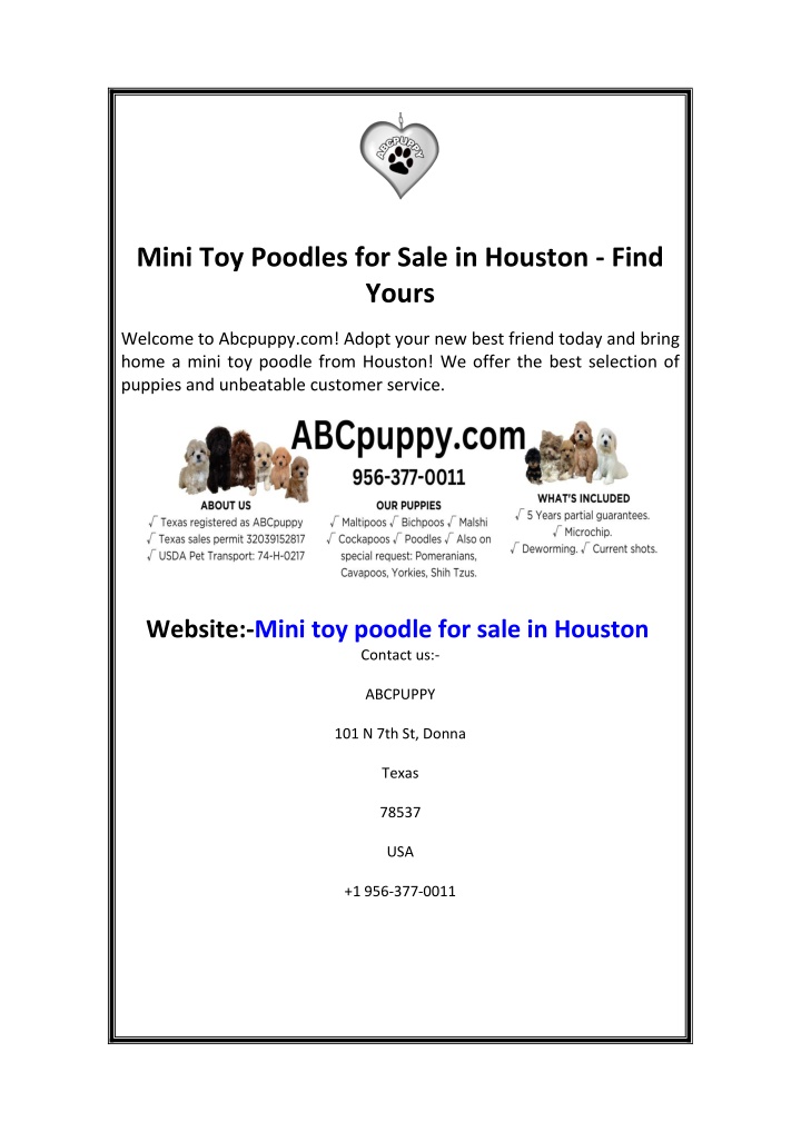 mini toy poodles for sale in houston find yours