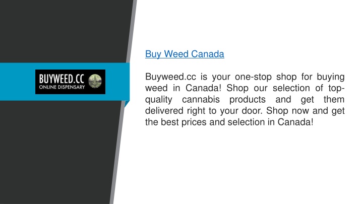 buy weed canada buyweed cc is your one stop shop