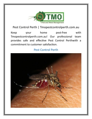 Pest Control Perth  Tmopestcontrolperth.com.au