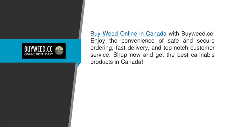 buy weed online in canada with buyweed cc enjoy