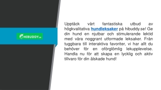 Hundleksaker Hibuddy.se