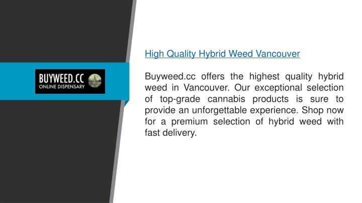 high quality hybrid weed vancouver buyweed