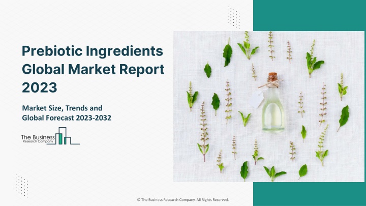 prebiotic ingredients global market report 2023