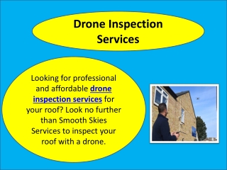 Drone Inspection Services