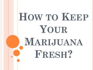 How to Keep Your Marijuana Fresh?