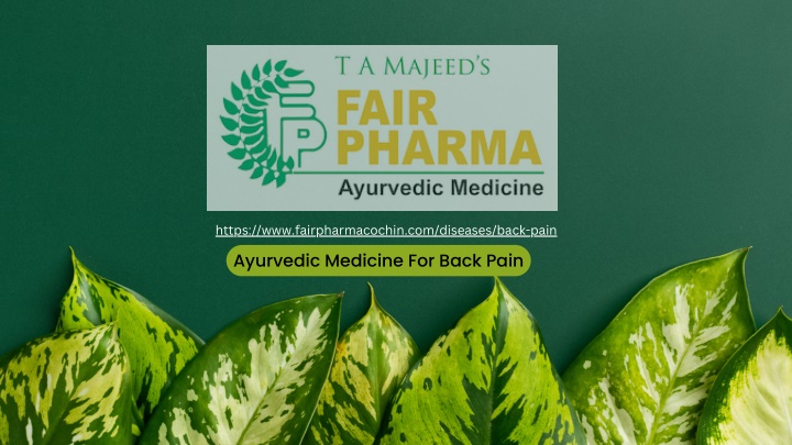 https www fairpharmacochin com diseases back pain