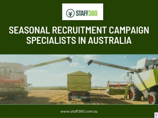 Seasonal Recruitment Campaign Specialists In Australia | Staff 360