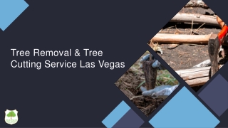 Tree Removal & Tree Cutting Service Las Vegas