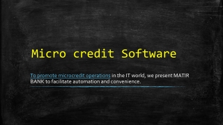 Micro credit software