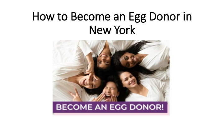 how to become an egg donor in new york
