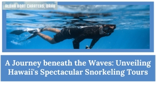 A Journey beneath the Waves Unveiling Hawaii's Spectacular Snorkeling Tours