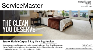Professional Carpet Cleaning in Estero