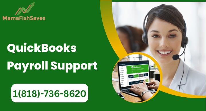 quickbooks payroll support