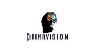 The Best Video Subtitling Services Available at Chromavision