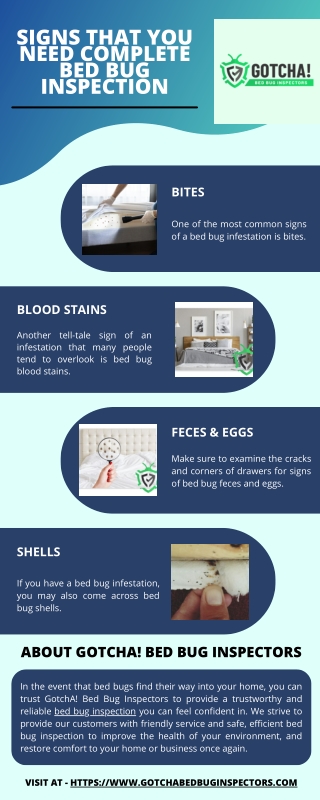 signs that you need complete bed bug inspection