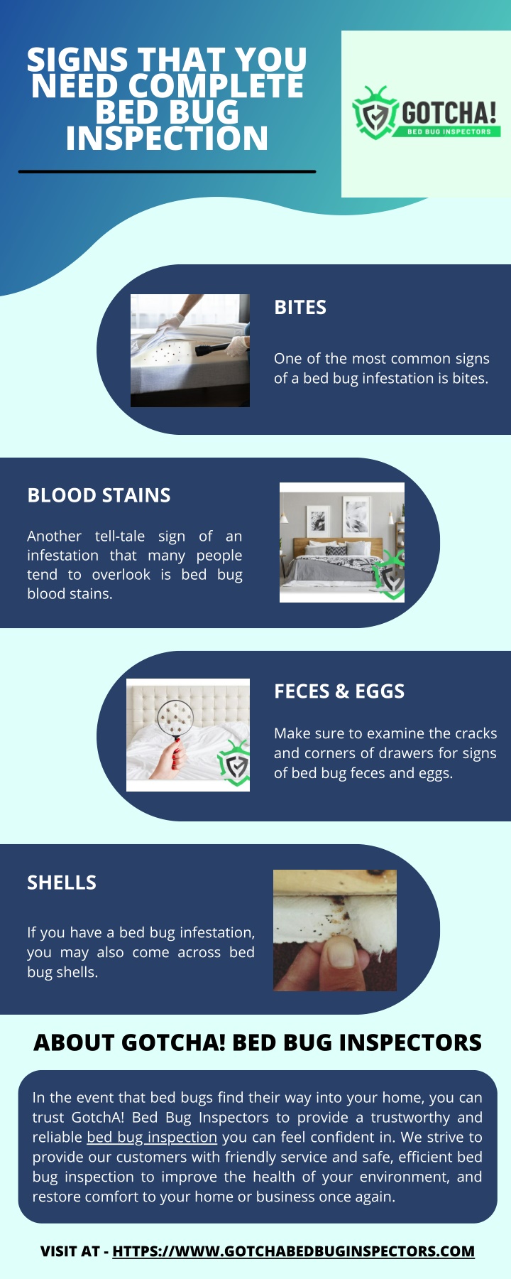 signs that you need complete bed bug inspection